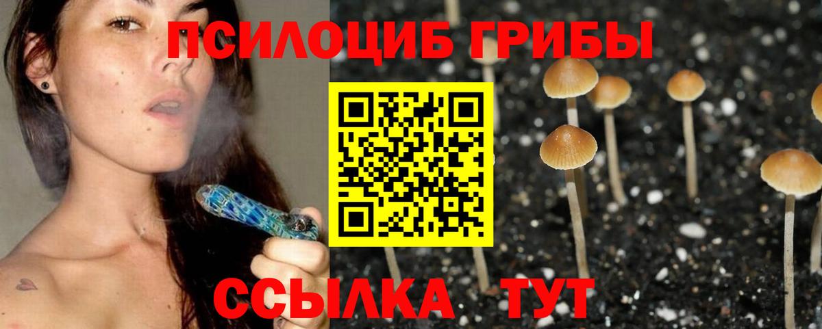 Верхняя Салда  Галлюциногенные грибы Cubensis  Вход с VPN  Псилоцибиновые грибы MAGIC MUSHROOMS 